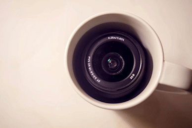 央视探访的霍山米斛市价竟达60万