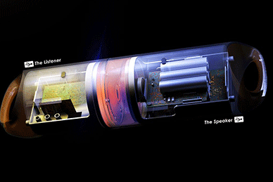 治疗腰椎间盘突出最好的方法王九正